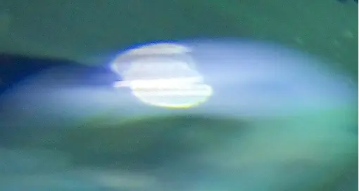 Favorite trips chosen by Blue Zadar